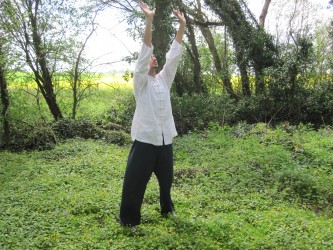 Wu Dao Yin
